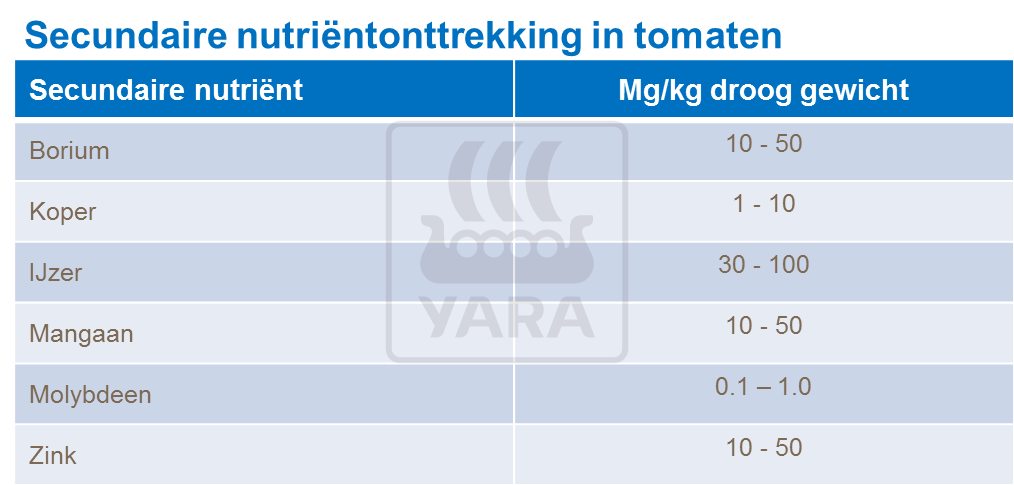 micronutrient onttrekking tomaat